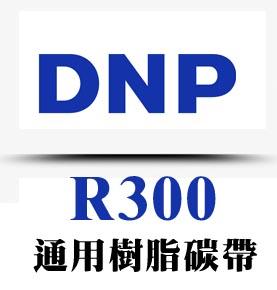 DNP树脂碳带R300